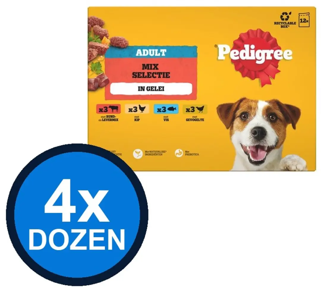 Pedigree Pouch Adult Gelei Fav Sel Multipack