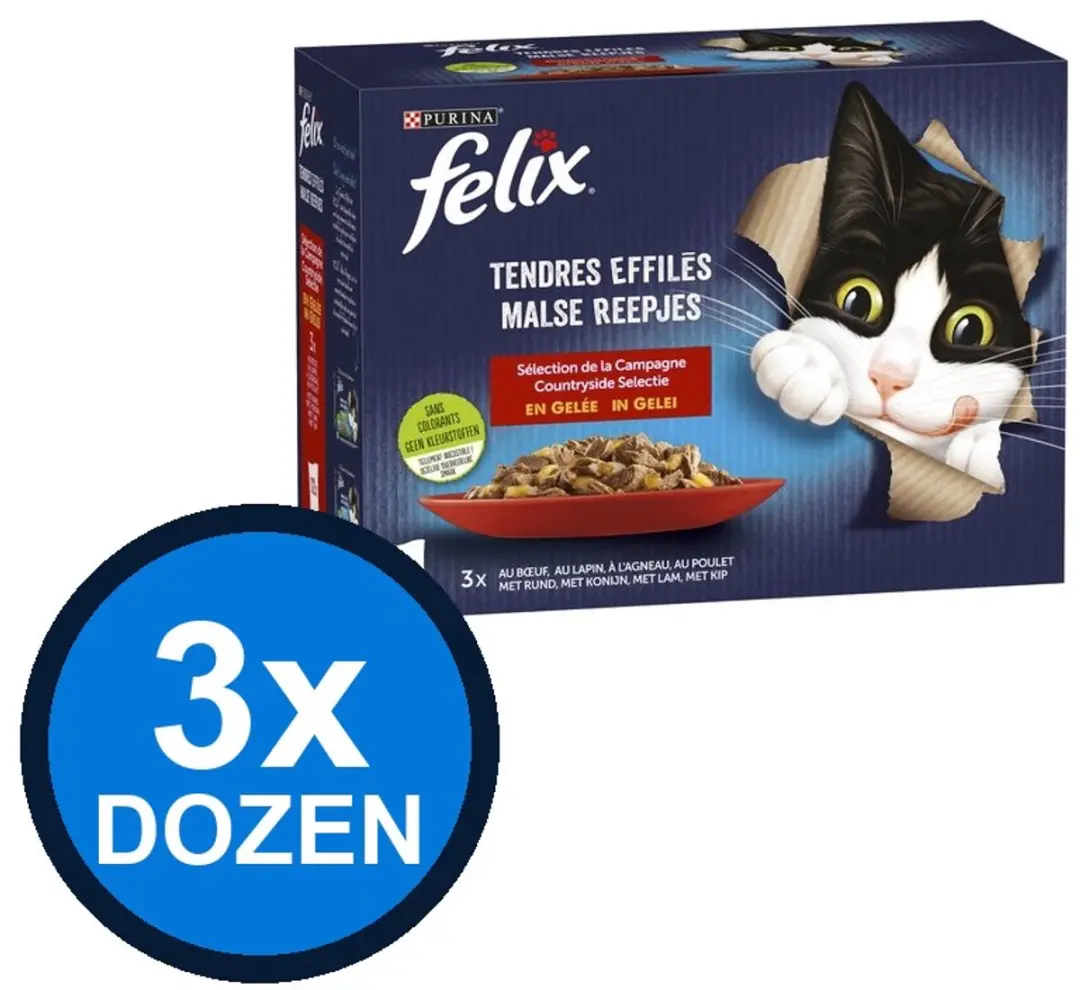 Felix Elke Dag Feest In Gelei Countryside Selectie