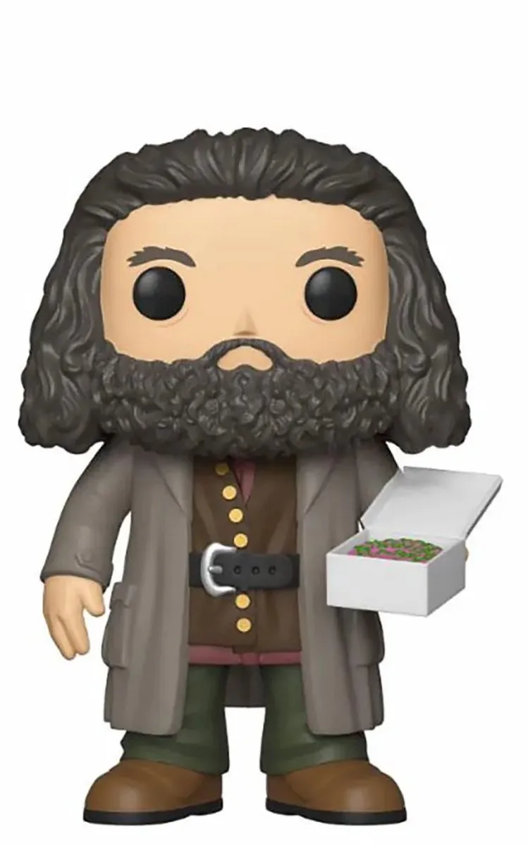 Funko Pop! Harry Potter Rubeus Hagrid FUN35508 - Verzamelfiguur 10cm - Multi