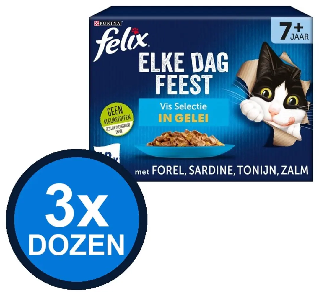 Felix Elke Dag Feest In Gelei Senior Vis Selectie