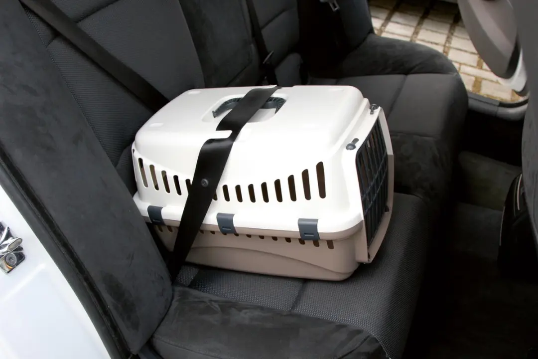 Kerbl Carrier Beige/Grijs 48x32x32cm