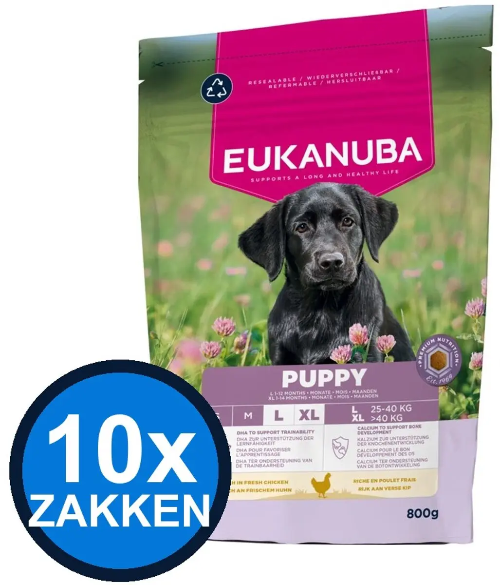 Eukanuba Life Care Puppy Large Kip