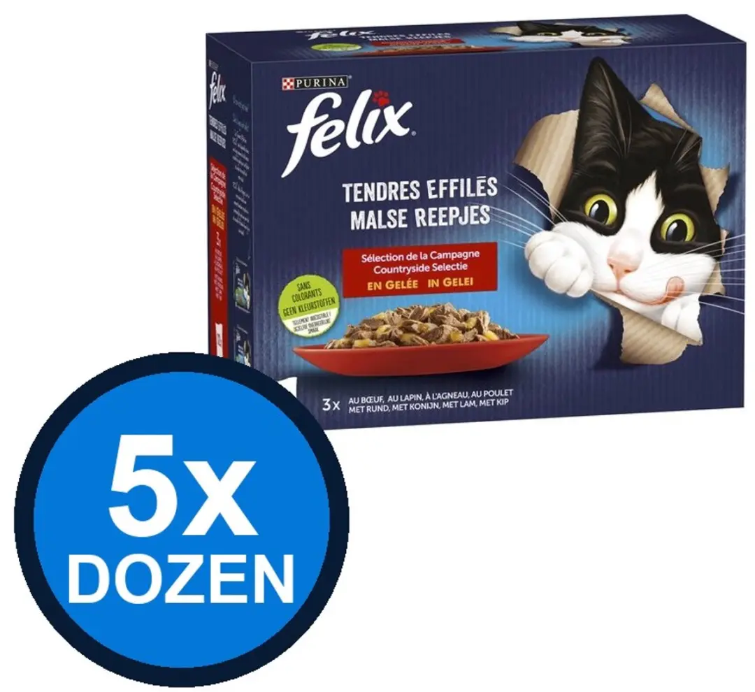 Felix Elke Dag Feest In Gelei Countryside Selectie
