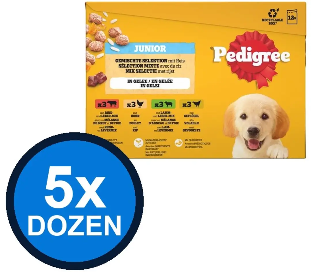 Pedigree Pouch Junior Gelei Mix Sel Multipack
