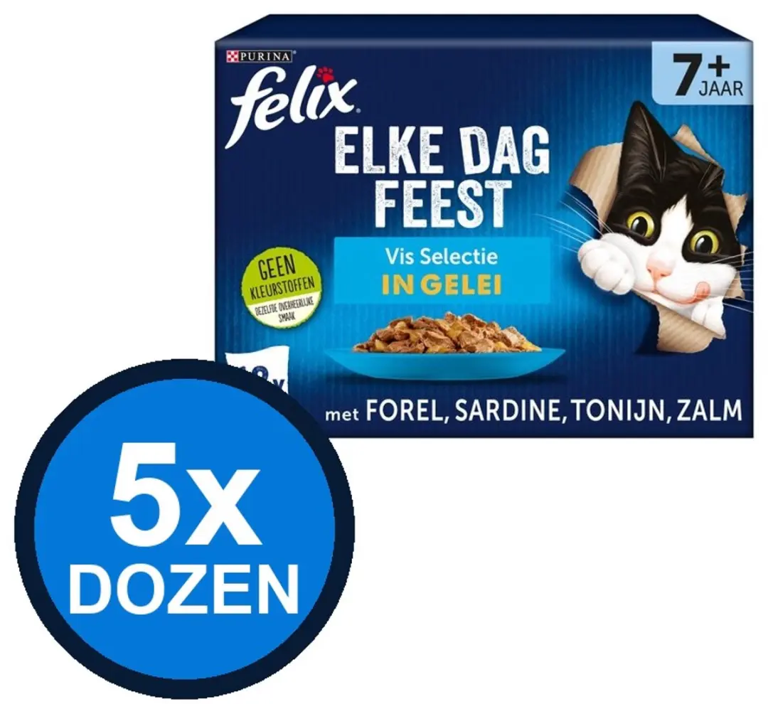Felix Elke Dag Feest In Gelei Senior Vis Selectie