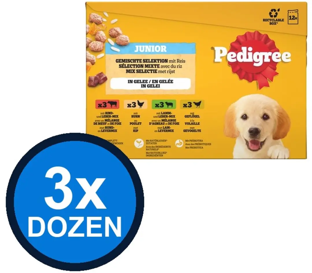 Pedigree Pouch Junior Gelei Mix Sel Multipack 3x12x100g