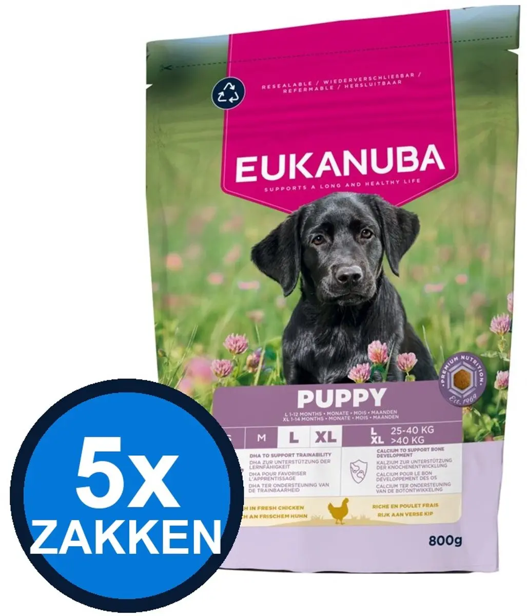 Eukanuba Life Care Puppy Large Kip