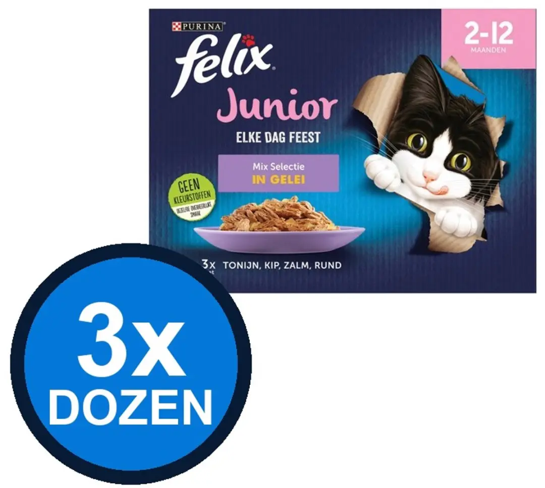 Felix Elke Dag Feest In Gelei Junior Mix Selectie