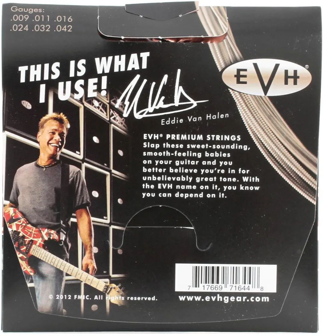 Fender EVH Eddie van Halen Signature Snaren 9-42 - Zilver