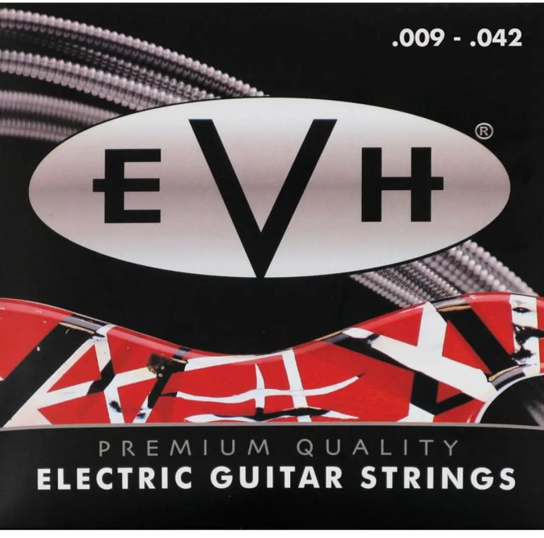 Fender EVH Eddie van Halen Signature Snaren 9-42