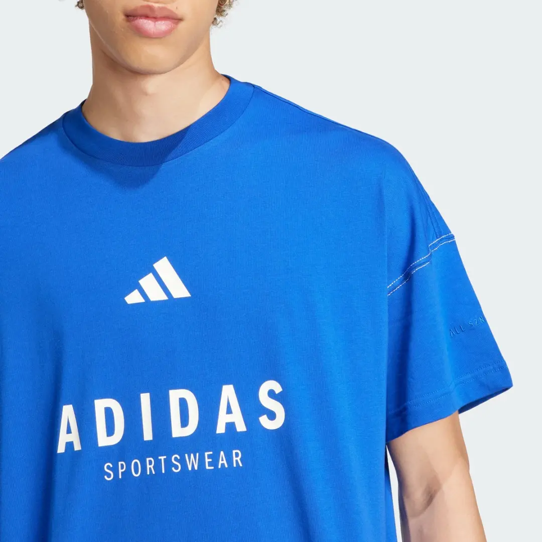 Adidas All Szn Graphic T-Shirt JJ3661 - Heren - Blauw