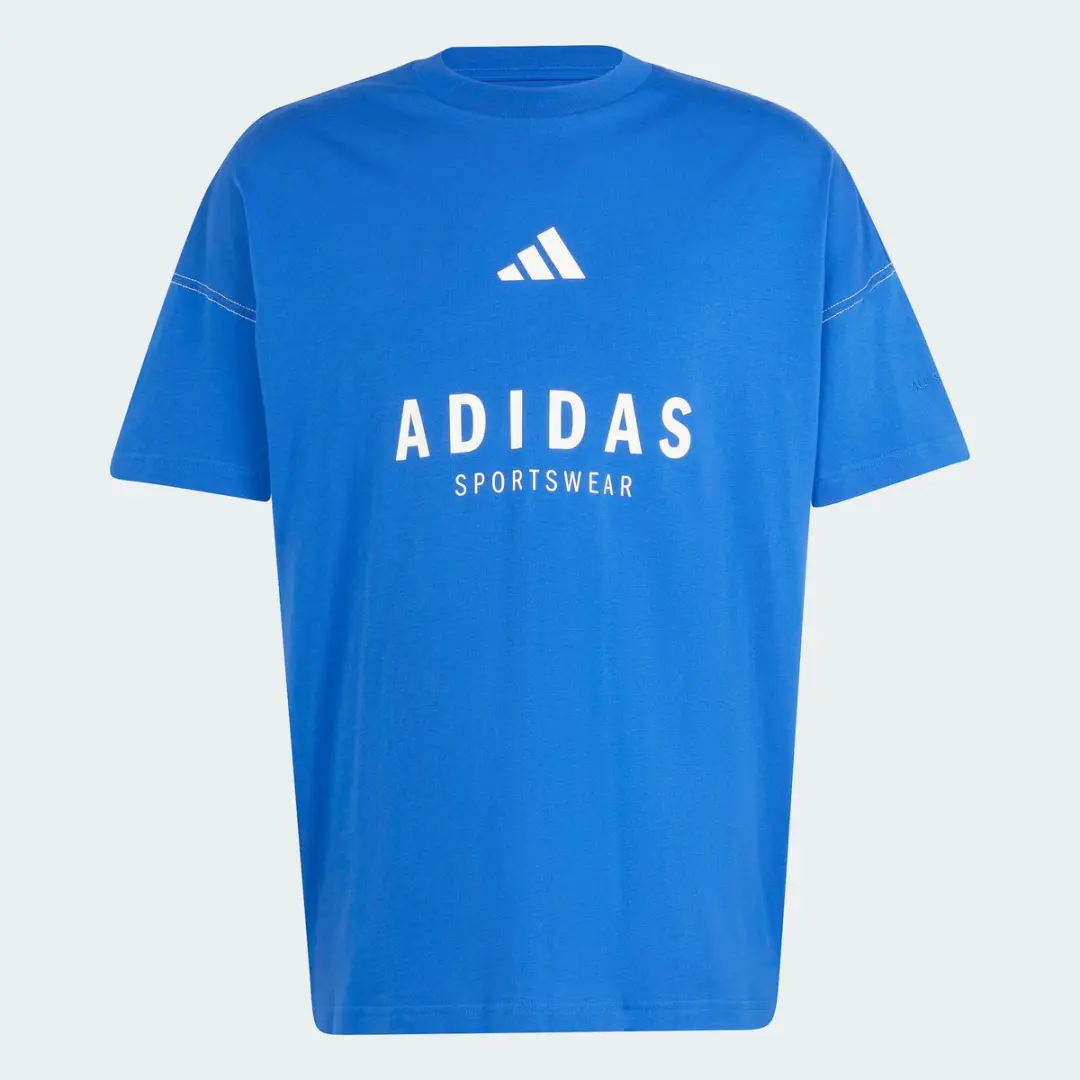 Adidas All Szn Graphic T-Shirt JJ3661 - Heren - Blauw