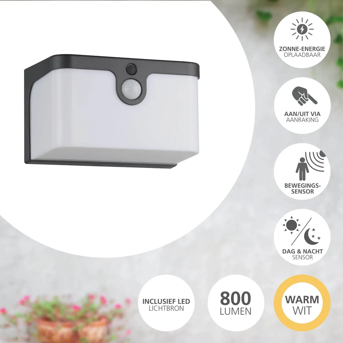 Eglo Croara Solar Wandlamp LED 15cm - Antraciet/Wit