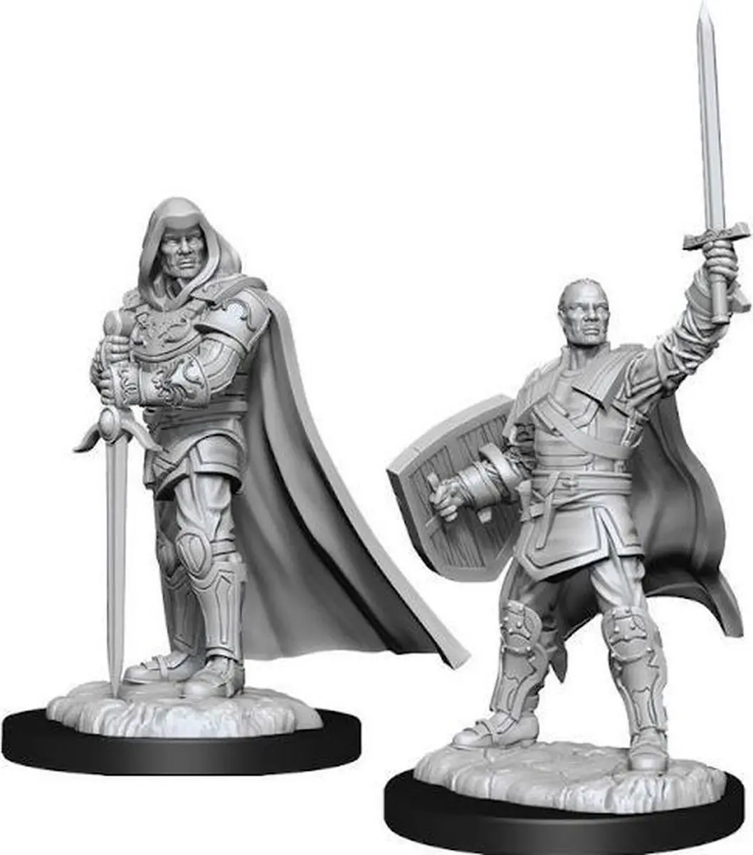 Wizkids Nolzur's Marvelous Human Male Paladin 90136