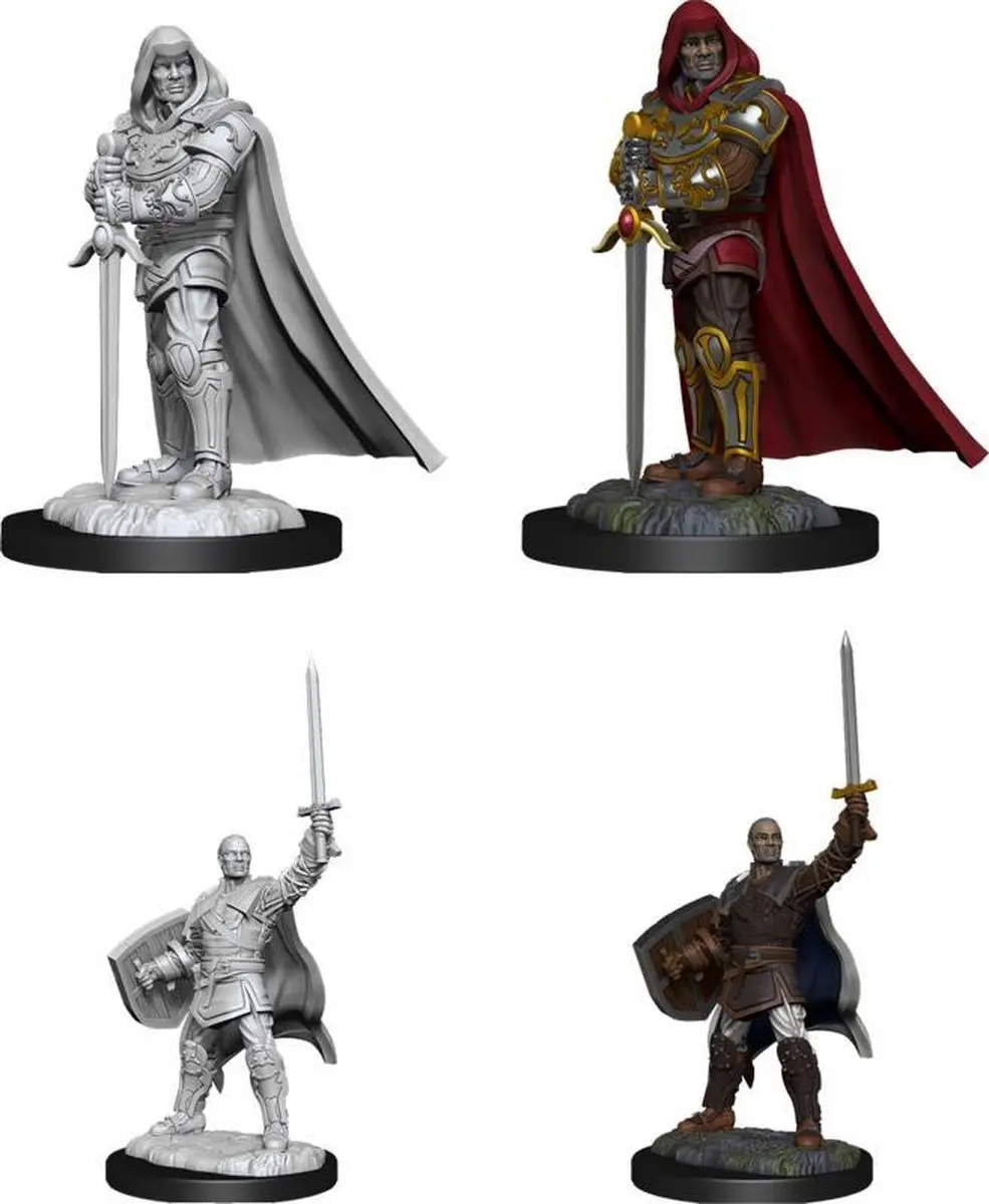Wizkids Nolzur's Marvelous Human Male Paladin 90136 - Ongeverfd