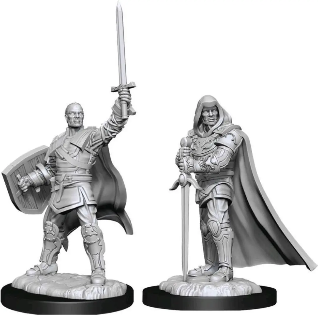 Wizkids Nolzur's Marvelous Human Male Paladin 90136 - Ongeverfd
