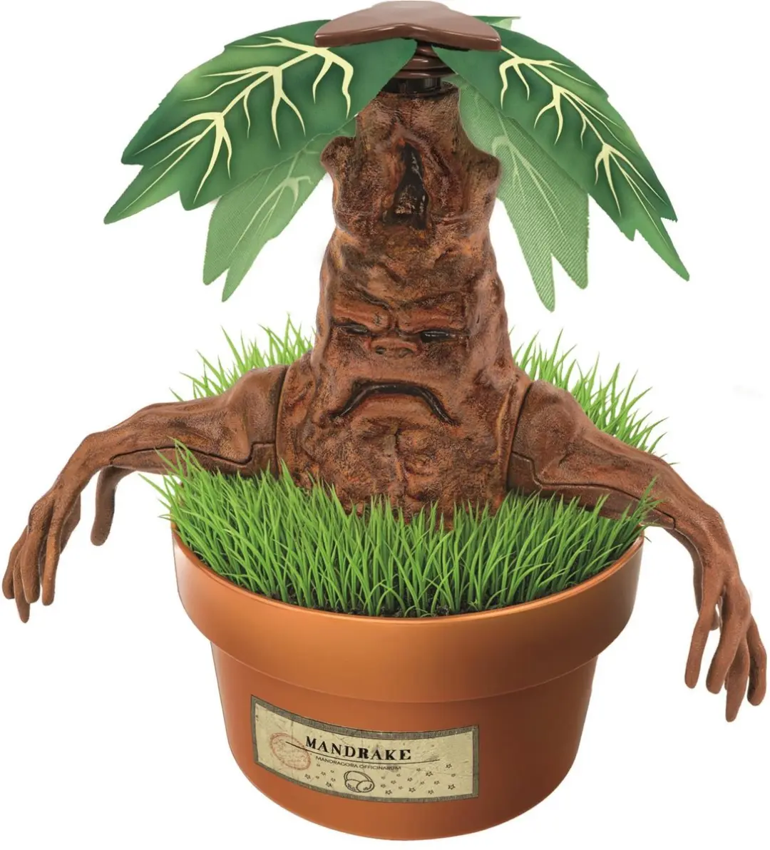Clementoni Harry Potter Mandragola Wetenschap Terrarium Experimenteerset - Multikleur