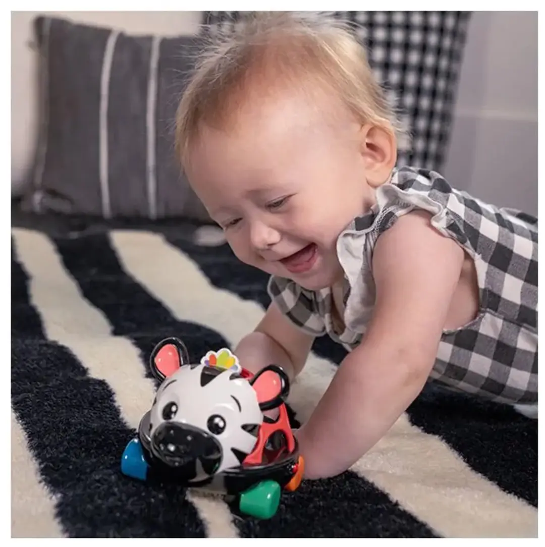 Baby Einstein Oball Zen Rammelaar - Multicolor