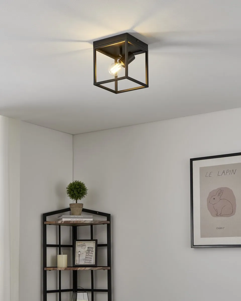 Eglo Silentina Plafondlamp E27 - 2x18cm - Zwart