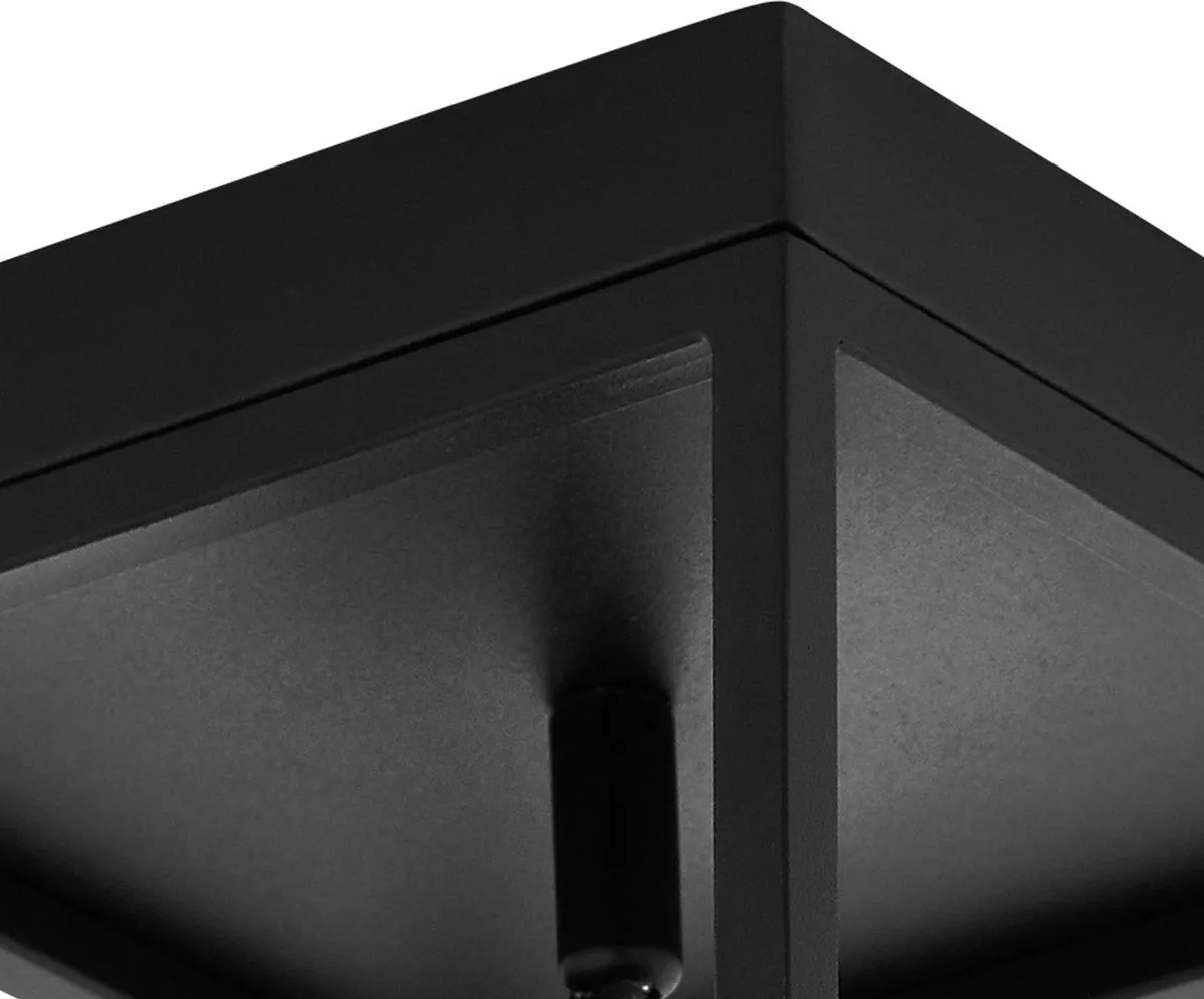Eglo Silentina Plafondlamp E27 - 2x18cm - Zwart