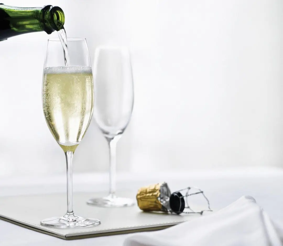Schott Zwiesel Tritan Classico Champagneglazen 250ml - 2 Stuks