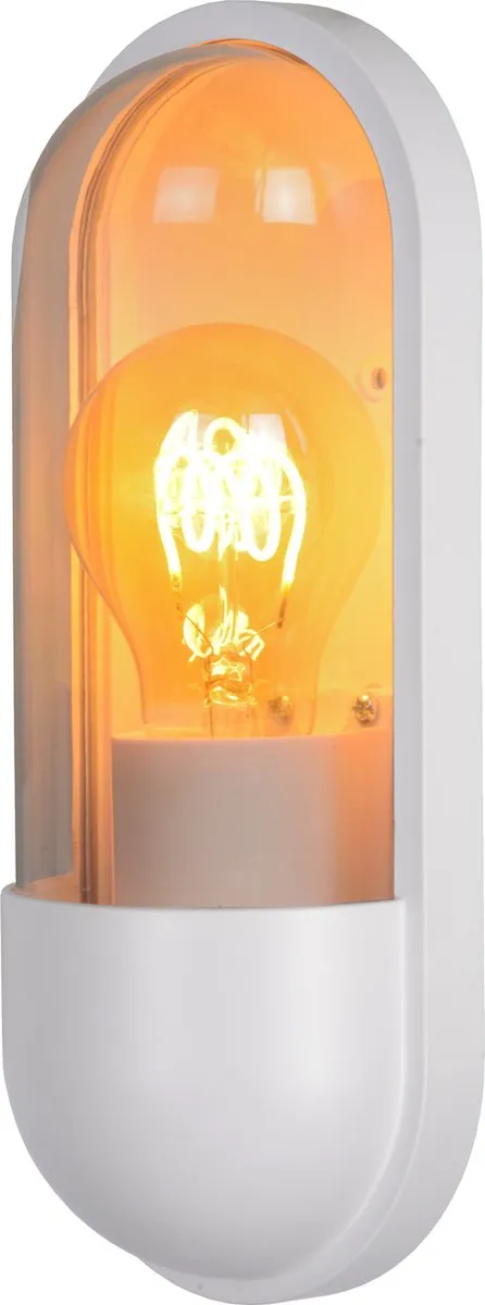 Lucide Capsule Wandlamp E27 IP54