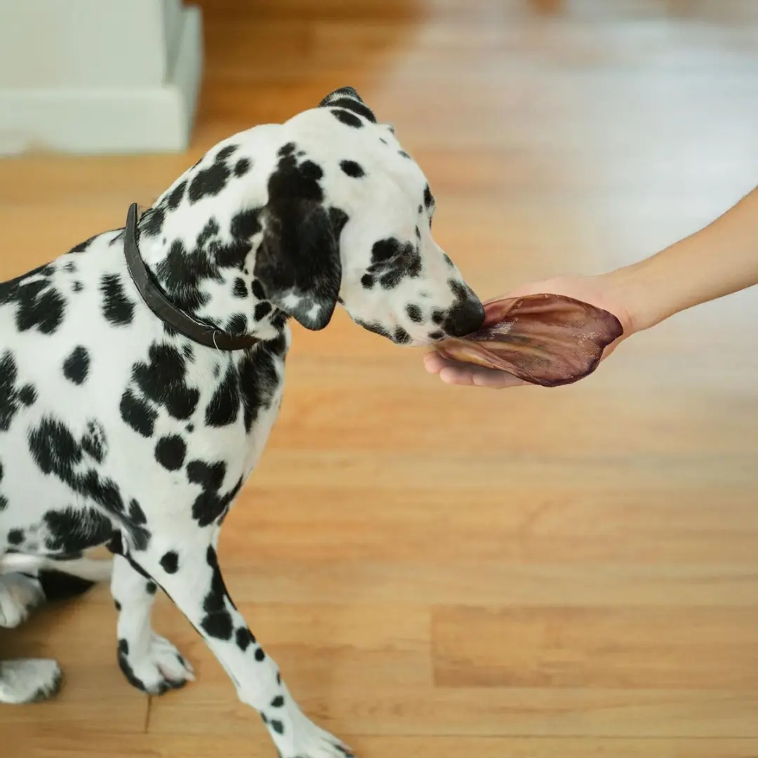 Woef Woef Snacks Kauwsnacks Grote Honden 1kg - 6 Stuks