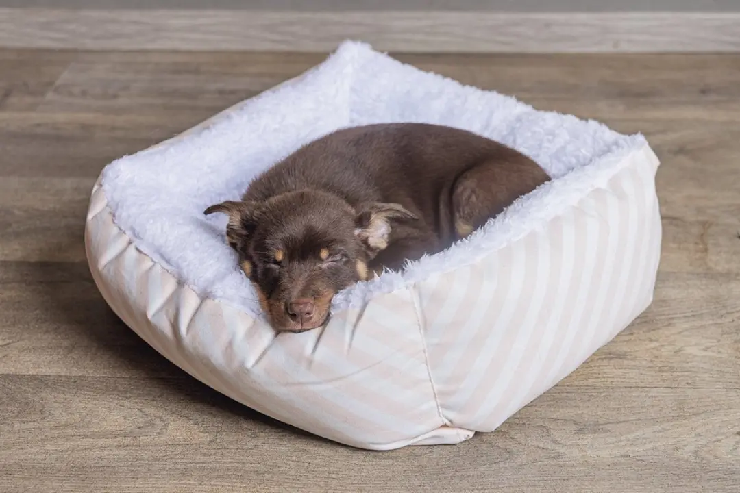 Beeztees Puppy Nappy Hondenmand Roze/Wit 50x42x18cm