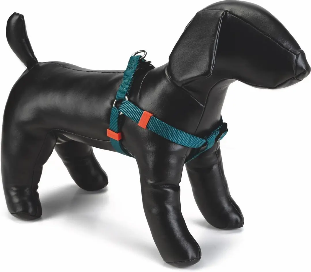 Beeztees Nylon Borsttuig Uni Donkergroen 35-60cm