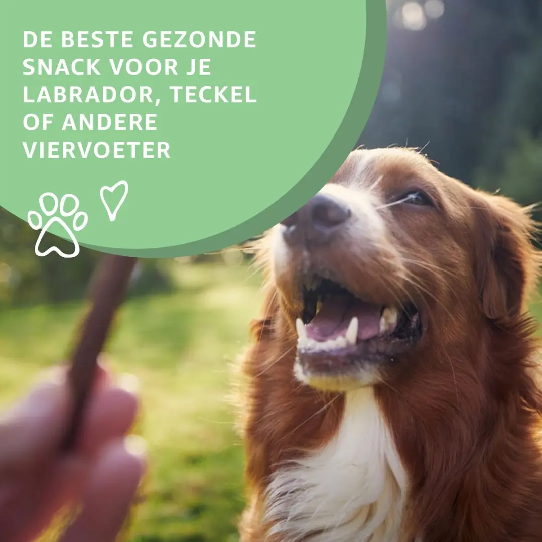 Woef Woef Snacks Zalmhuid Hondensnacks 0,75kg - 35 Stuks