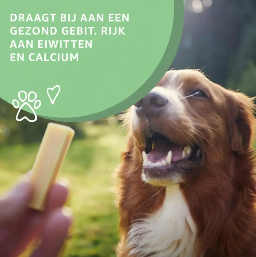 Woef Woef Snacks Yakstaafjes 10 Stuks - Kauwsnacks