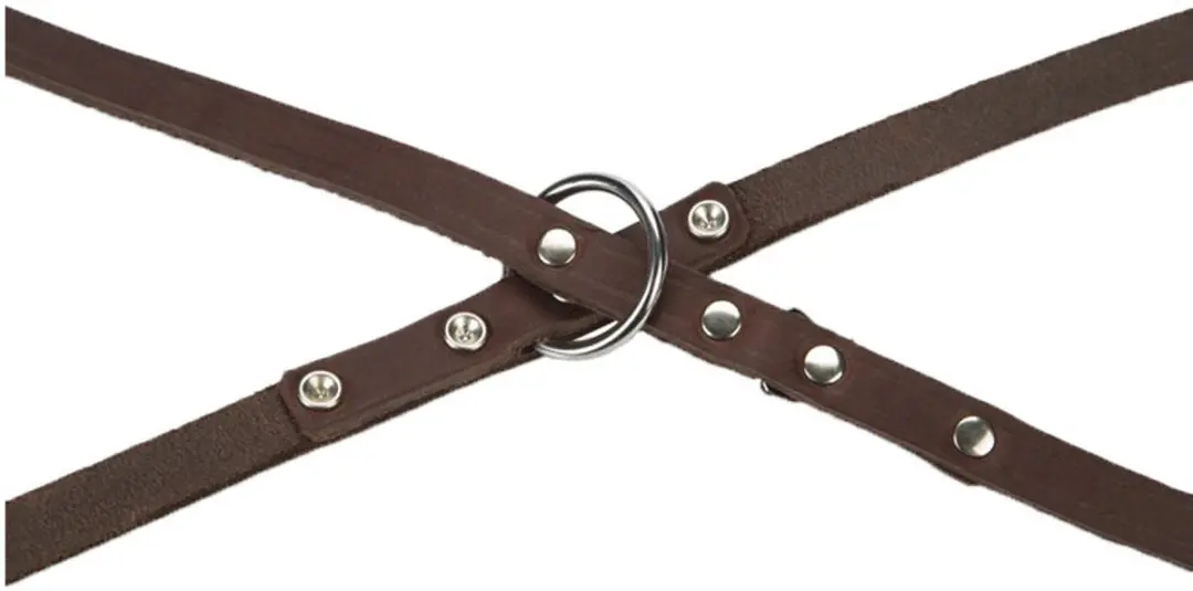 Beeztees Hondenriem Leer 200x20cm - Zwart