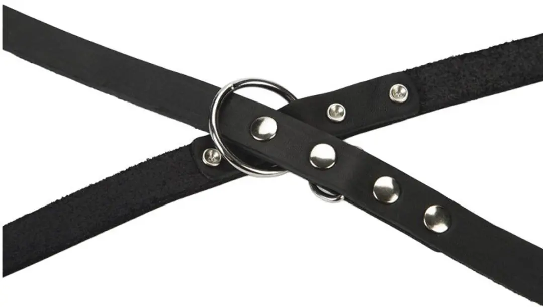 Beeztees Hondenriem Leer 200x20cm - Zwart