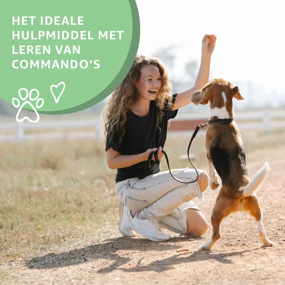 Woef Woef Snacks Eenden Trainers 2.00KG Hondensnacks - 2600 Stuks