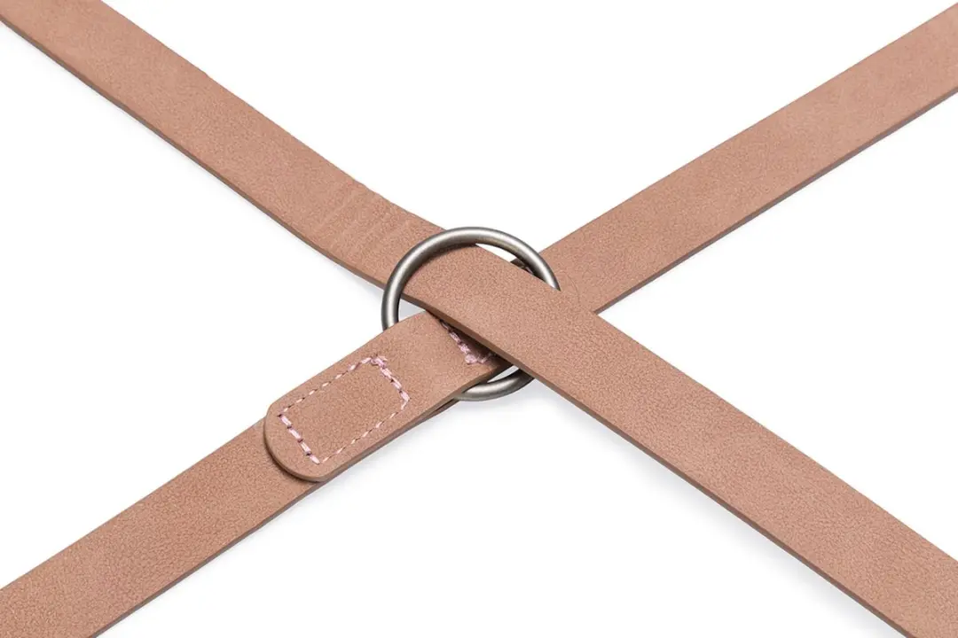 Beeztees Balacron Ax Hondenriem - Roze - 300x2cm