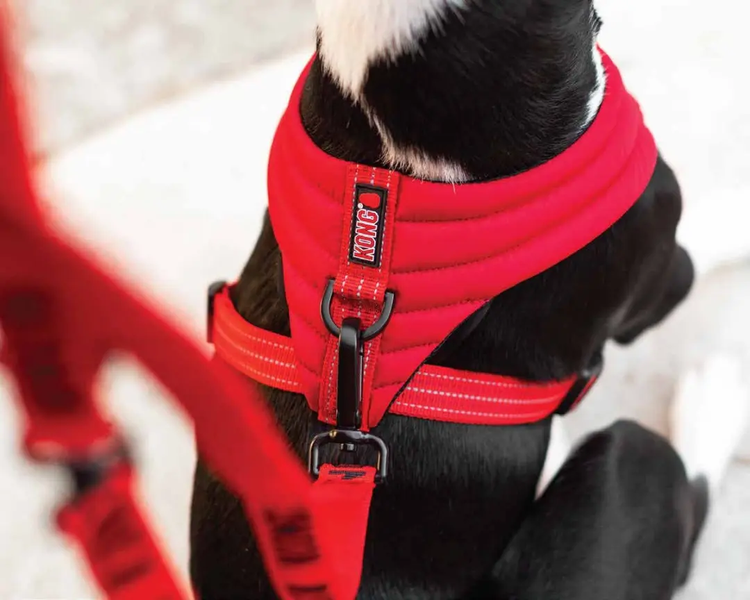 KONG Comfort Harness S - Rood