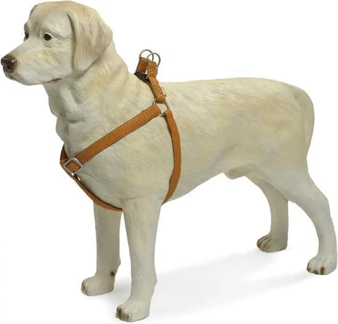 Beeztees Mac Leather Hondentuig - Bruin - 50-75 cm