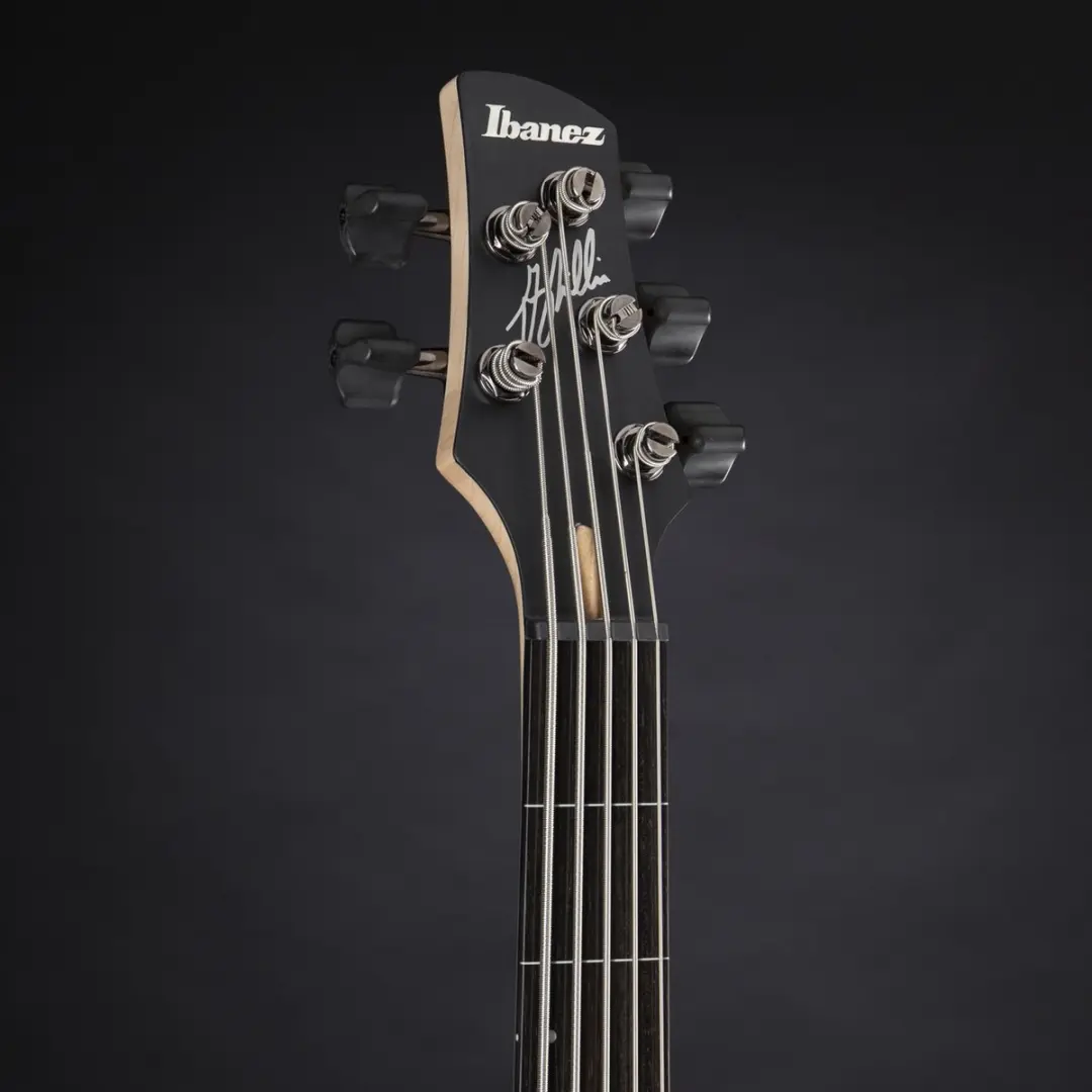 Ibanez Gary Willis GWB205 Tequila Sunrise Flat - 5-snarige Basgitaar