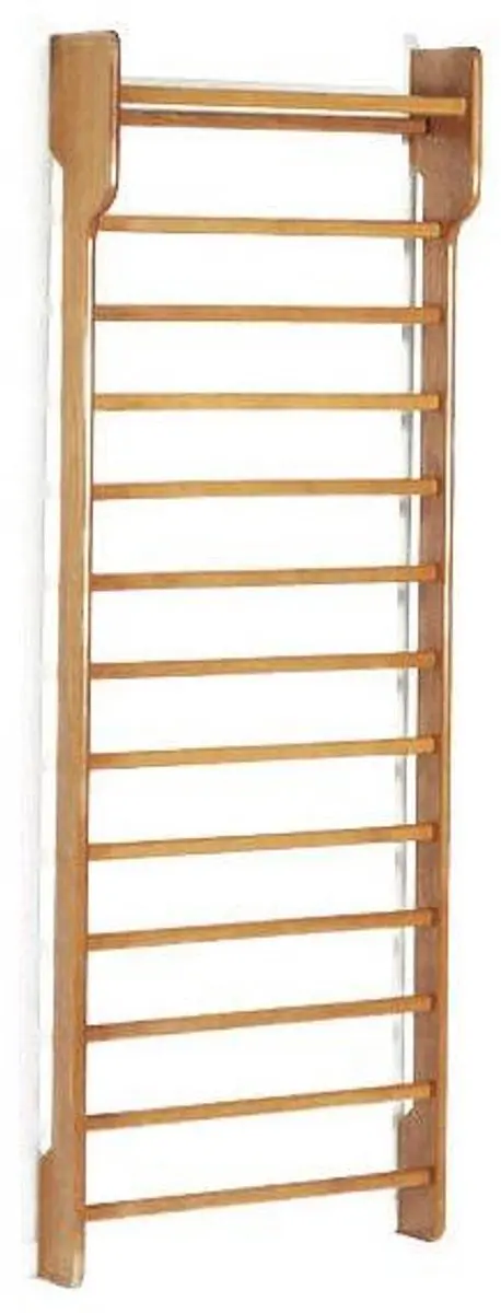 Toorx Single Wallbar Wandrek