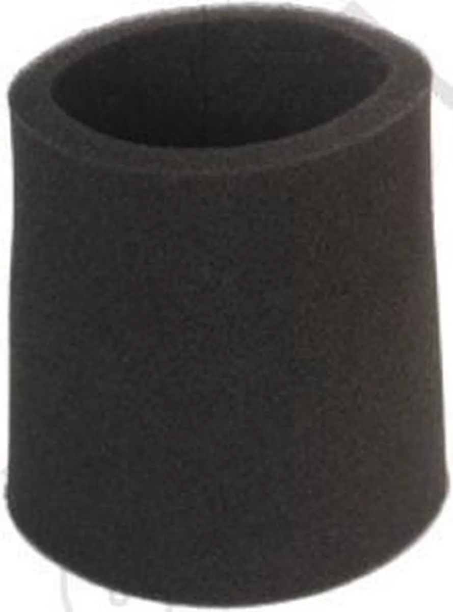 Rowenta RSRU3712 Schuimfilter Waterzuiger