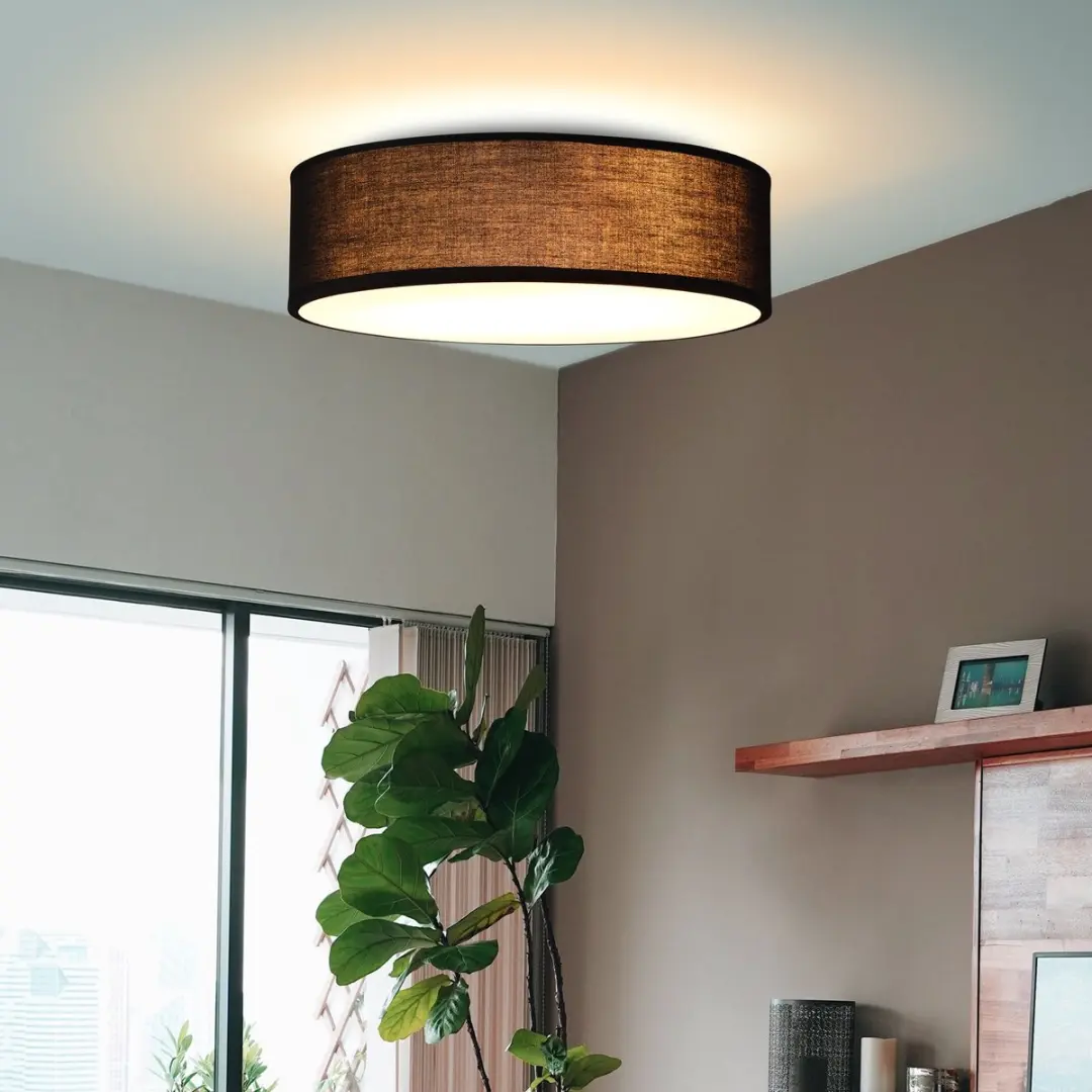 Monzana Plafondlamp 40W E27 - Ø30cm - Zwart