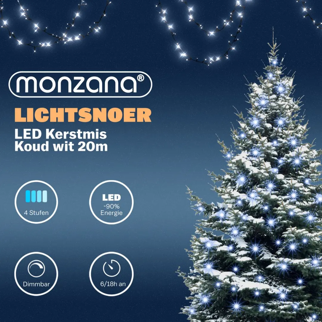 Monzana Lichtsnoer 200 LED - Koel wit - Afstandsbediening