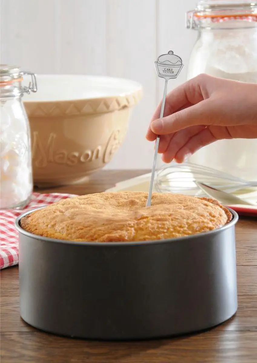 Mason Cash Cake Tester - Zilverkleurig