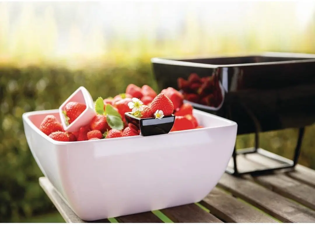 APS Schaal Pure 83409 - Melamine - 19x19x9cm - Wit
