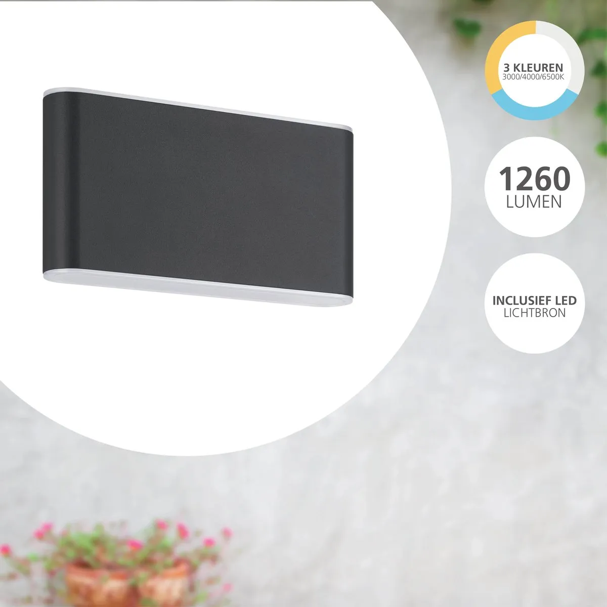 Eglo Grutti Wandlamp Buiten LED 2x - Antraciet - Instelbaar 4000K