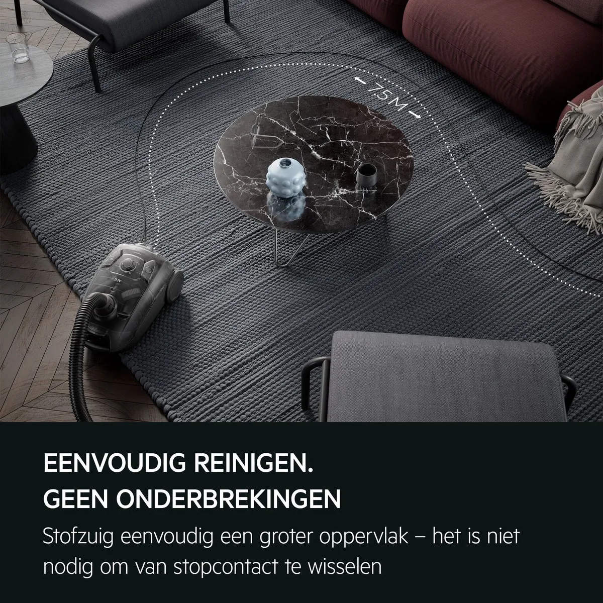 AEG AB31C1GG CLEAN 3000 Stofzuiger - Hepa 14 - 2 Mondstukken - Zwart