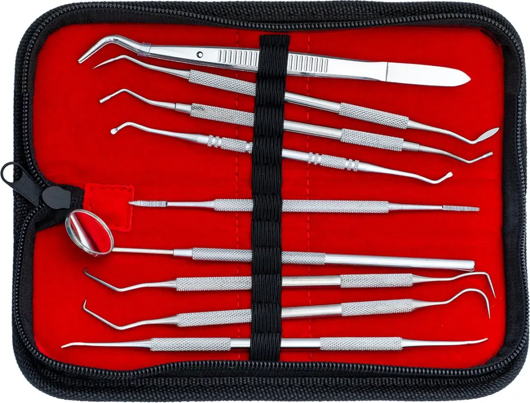 APS Leather Repair Kit - 9 Stuks