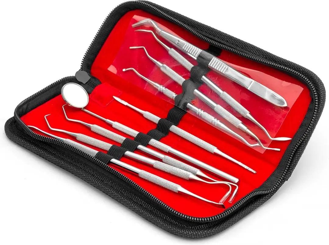 APS Leather Repair Kit