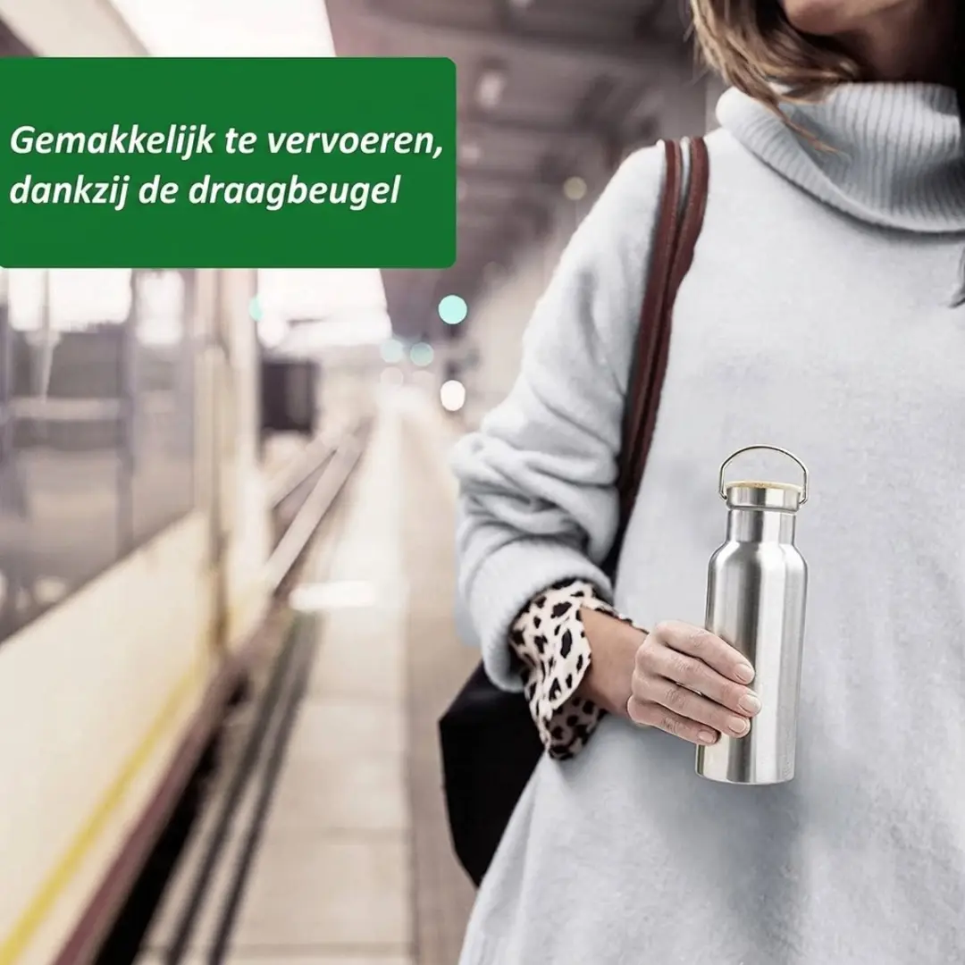 APS Roestvrijstalen Drinkfles 500ml - Metaal