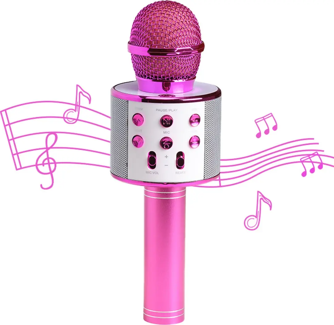 Denver KMS20 Karaoke Microfoon